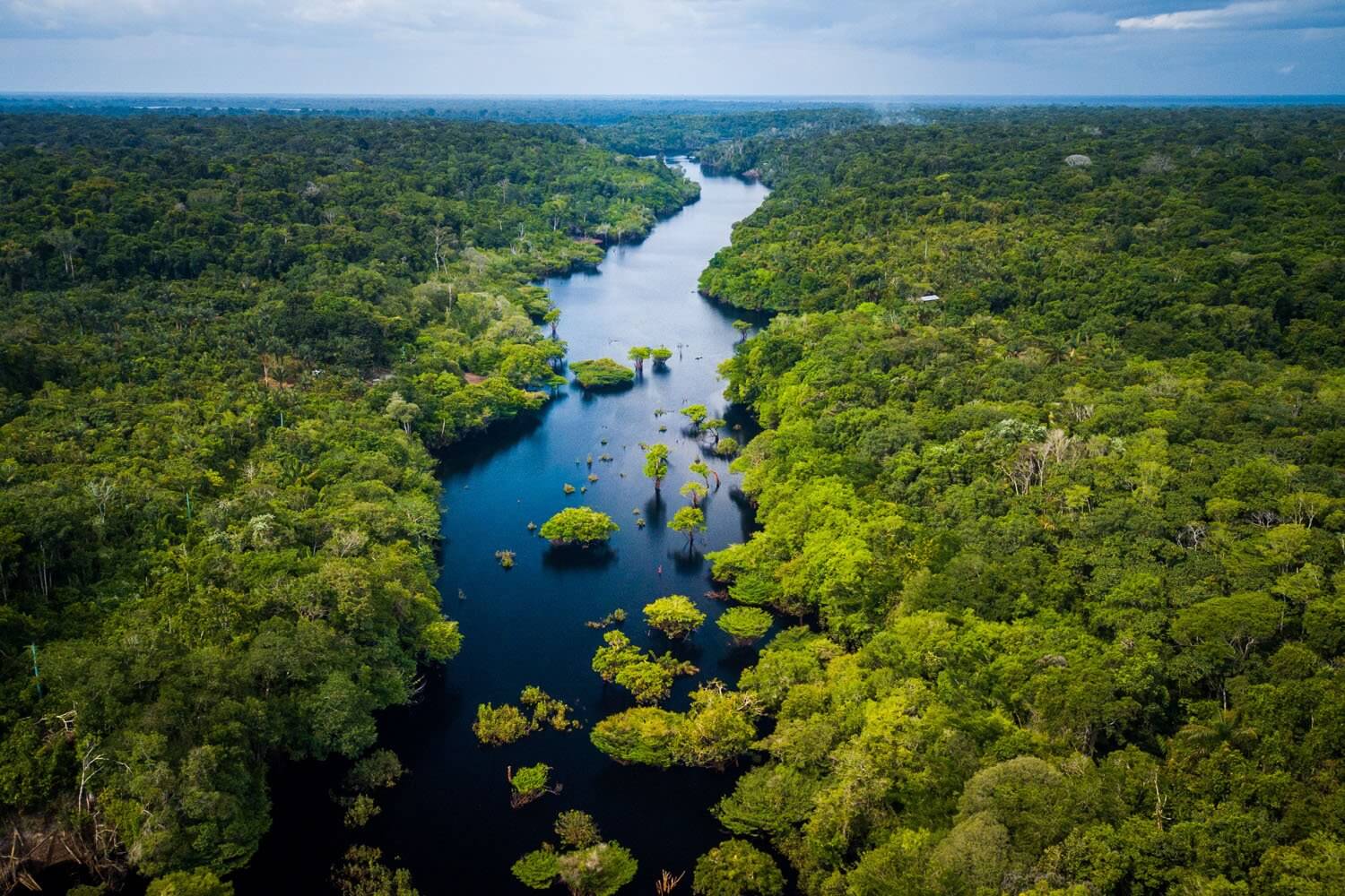 Amazon River: Biodiversity Marvel Under Threat