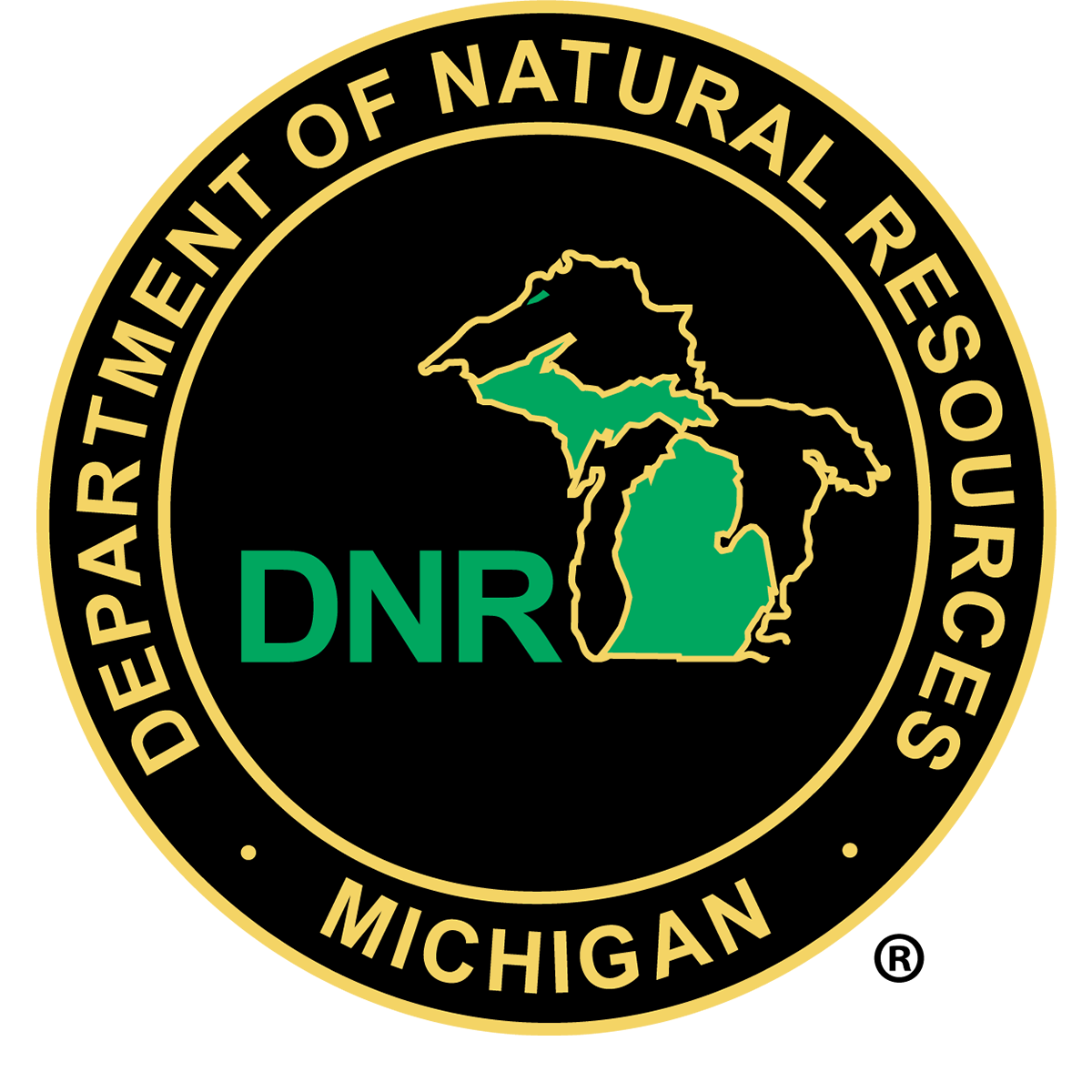 DNR Logo