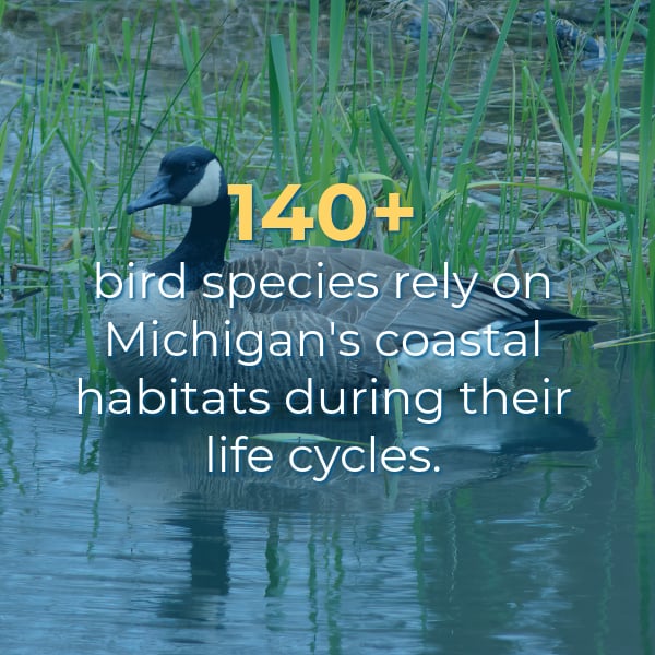 MI River Fact-3