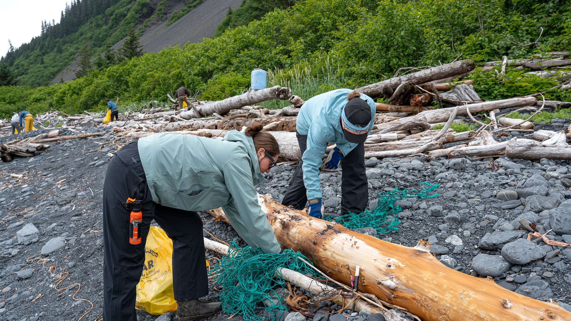 Montague Island AK GoAK-03
