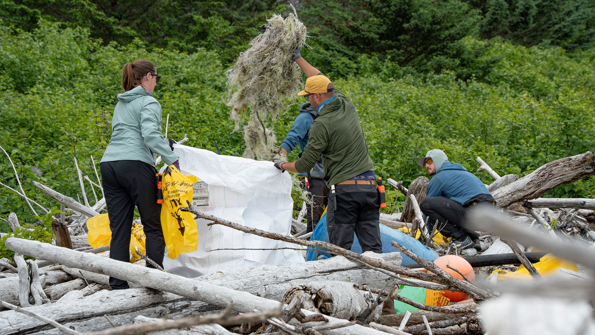 Montague Island AK GoAK-09