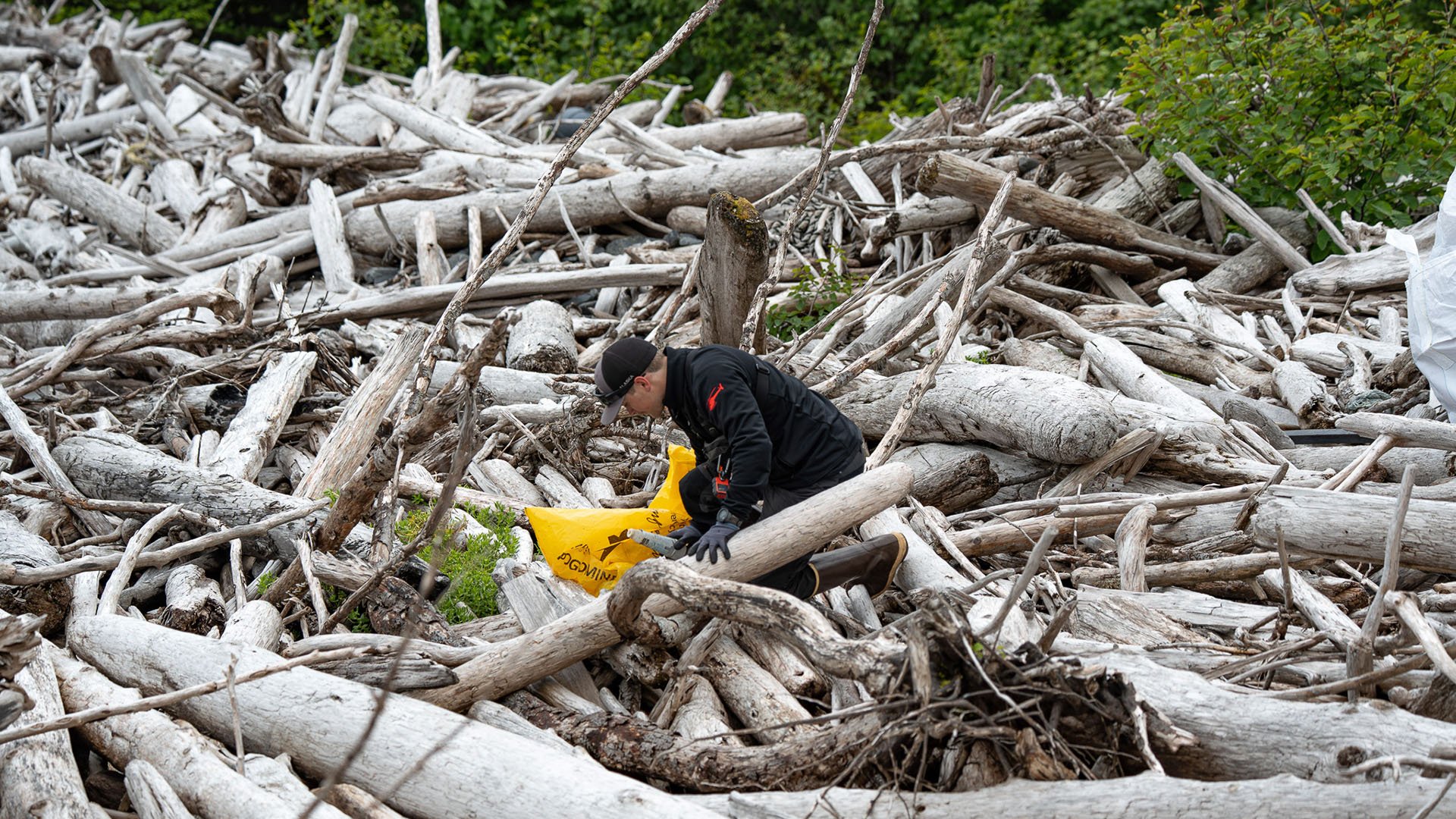 Montague Island AK GoAK-12