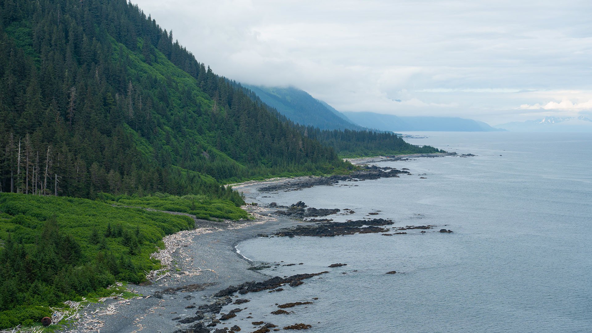 Montague Island AK GoAK-17