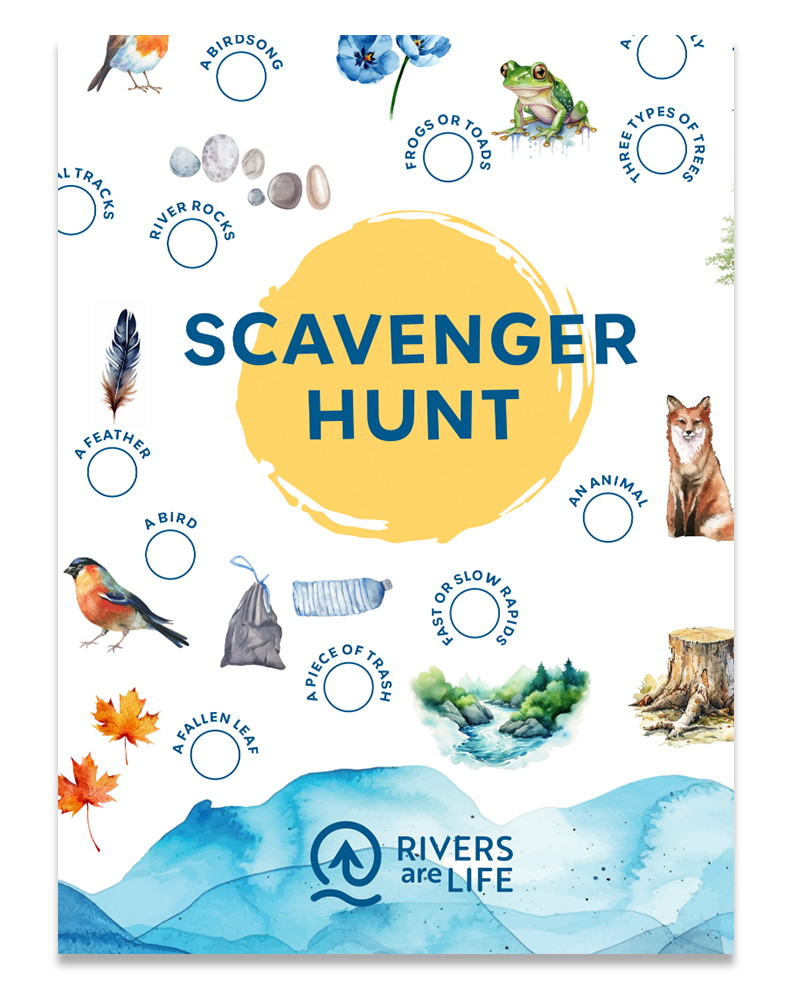 RAL Scavenger Hunt image