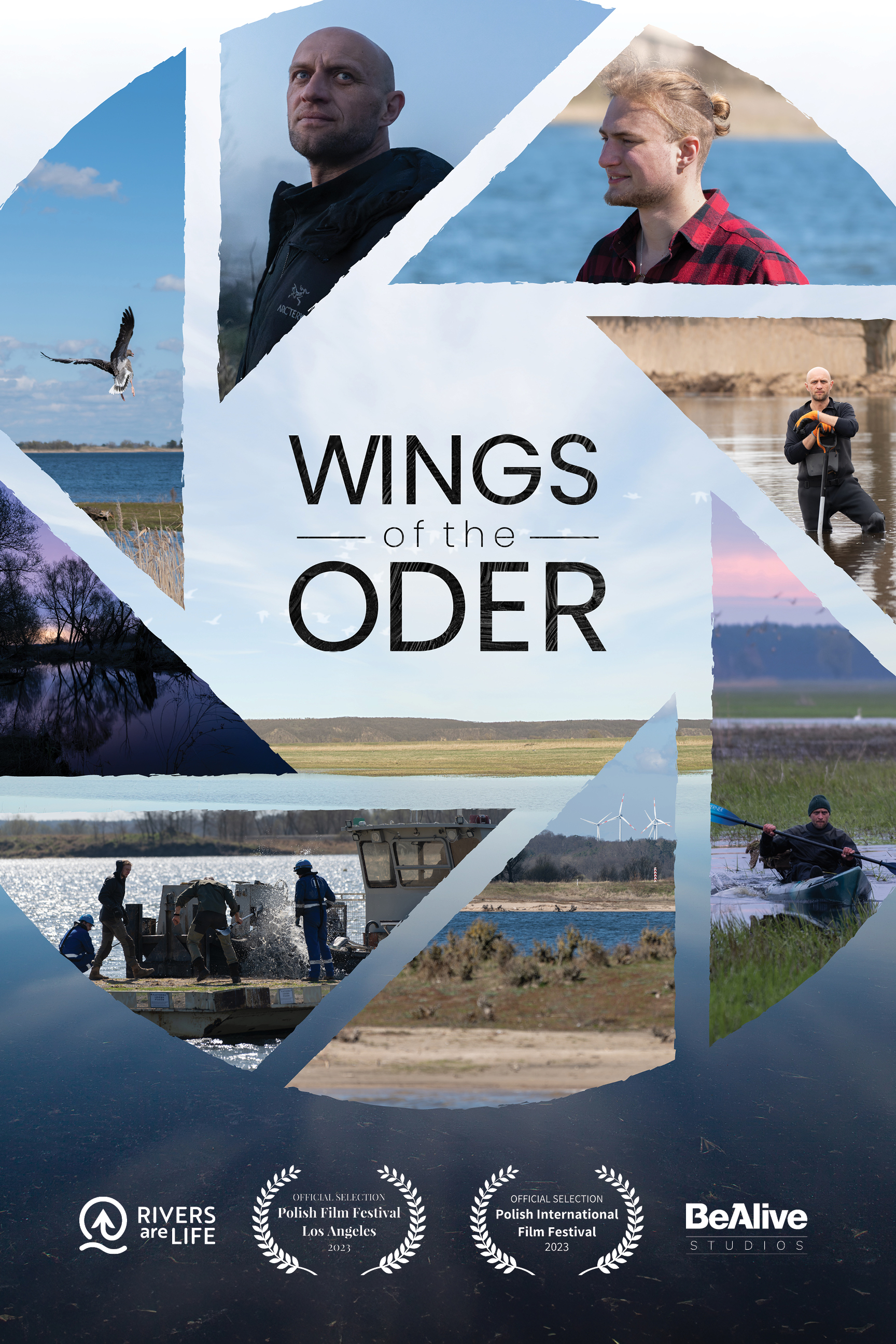 RAL_Wings of the Oder