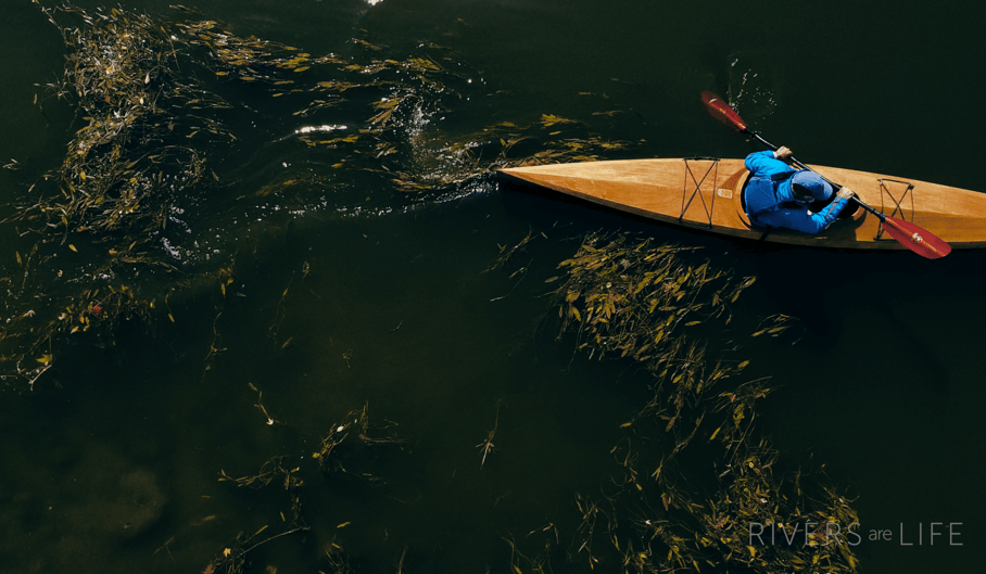 WATERSHED WARRIORS