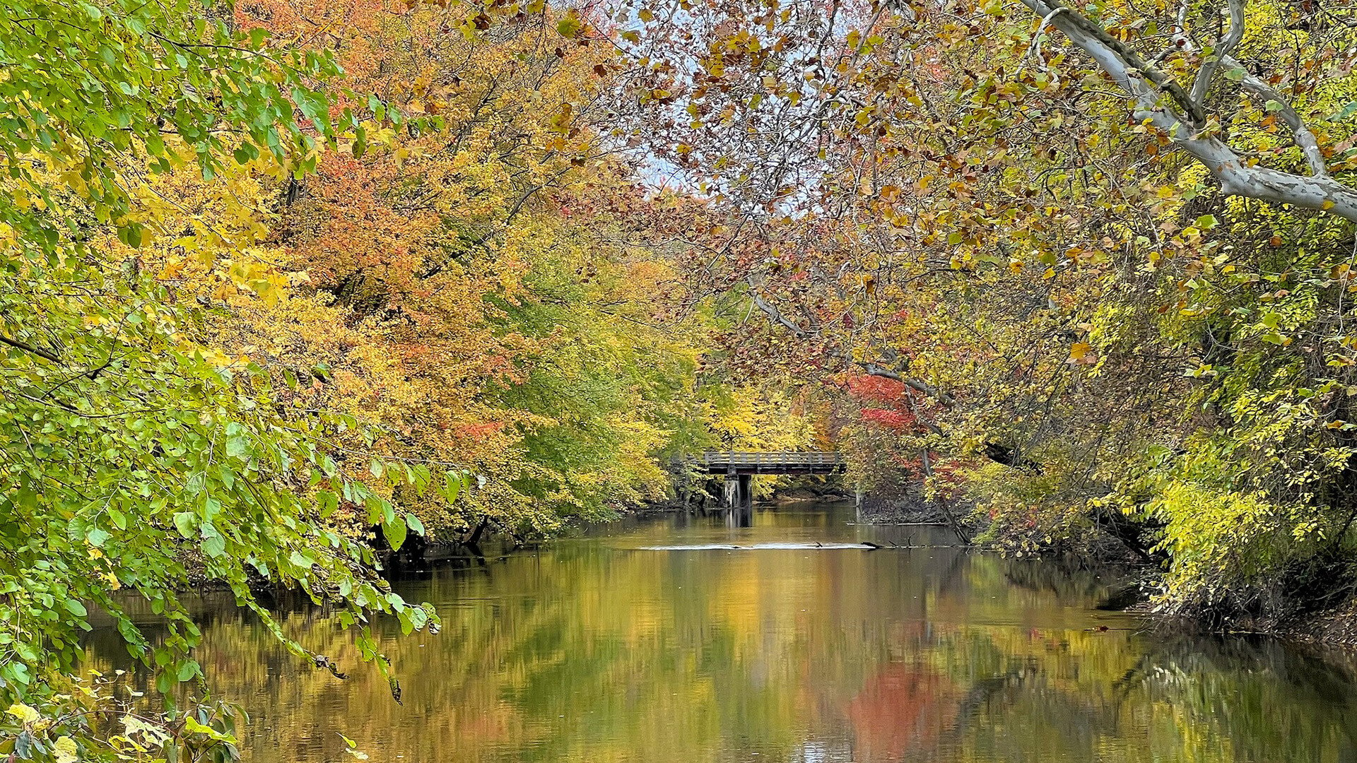 Six Rivers Land Conservancy