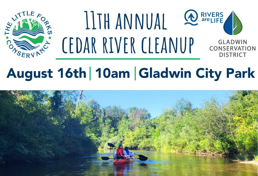 cedar-river-clean-up-5_orig