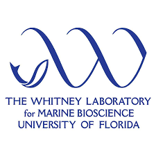 The Whitney Laboratory for Marine Bioscience